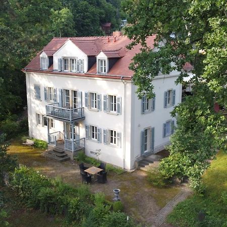 Villa Im Park Wachwitzgrund Dresden Ngoại thất bức ảnh