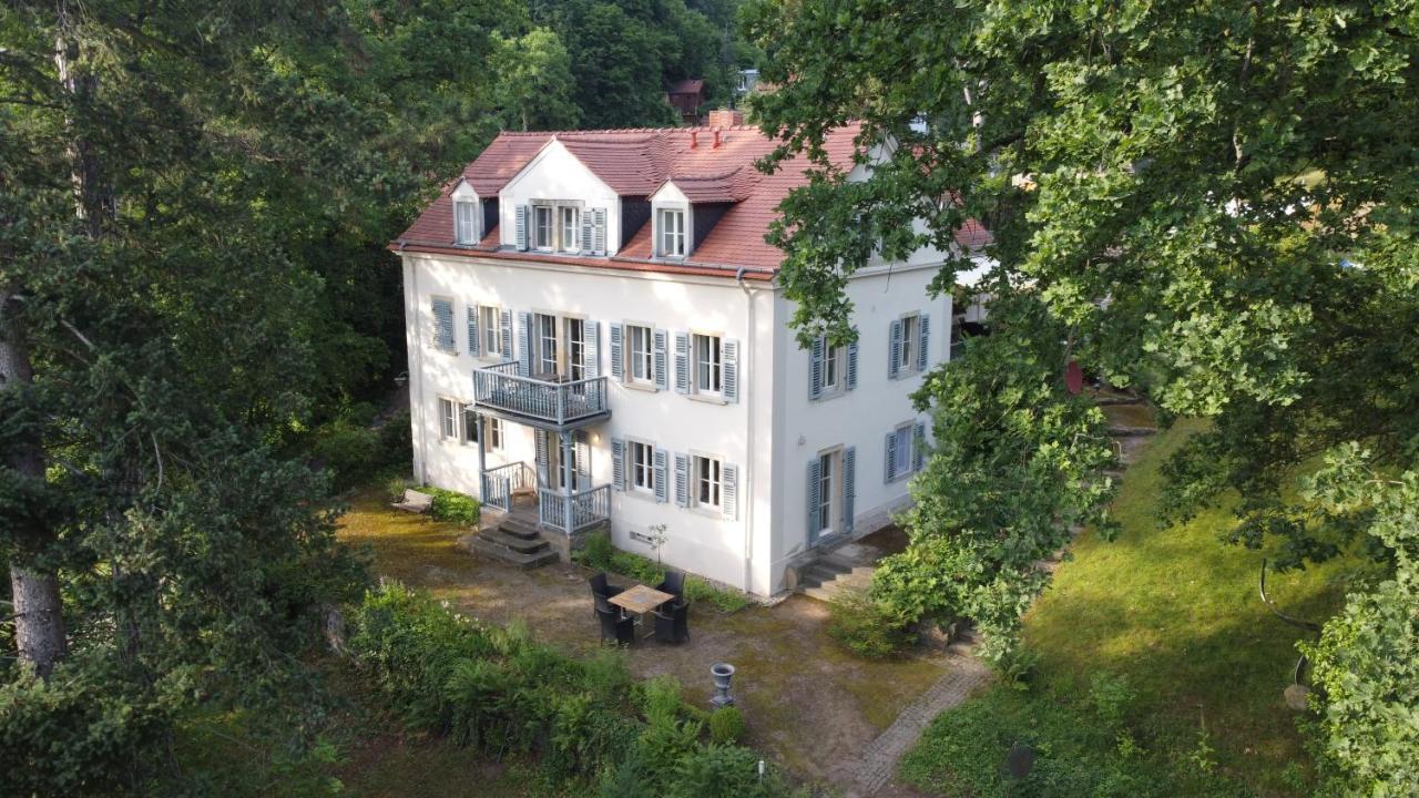 Villa Im Park Wachwitzgrund Dresden Ngoại thất bức ảnh