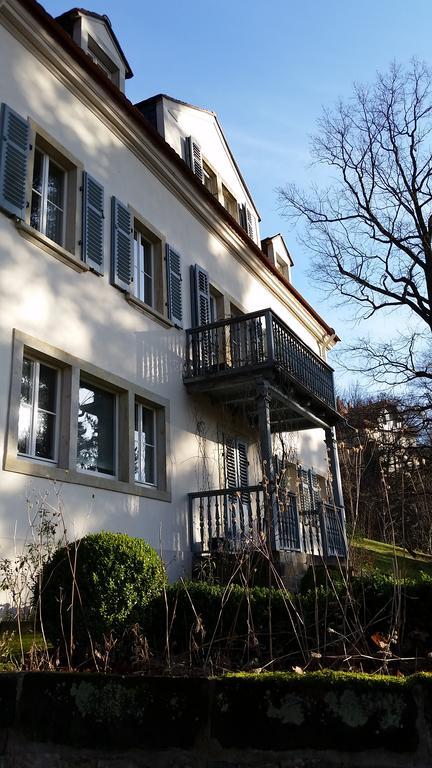 Villa Im Park Wachwitzgrund Dresden Ngoại thất bức ảnh