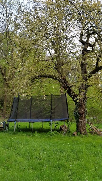 Villa Im Park Wachwitzgrund Dresden Ngoại thất bức ảnh