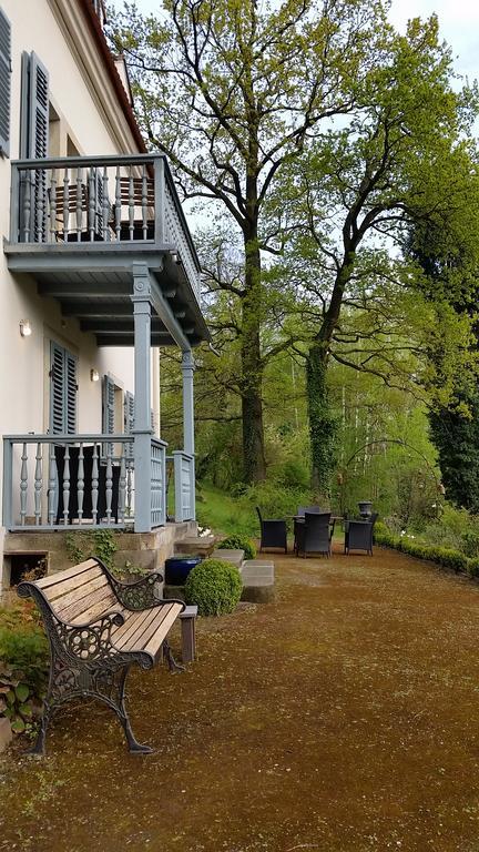 Villa Im Park Wachwitzgrund Dresden Ngoại thất bức ảnh