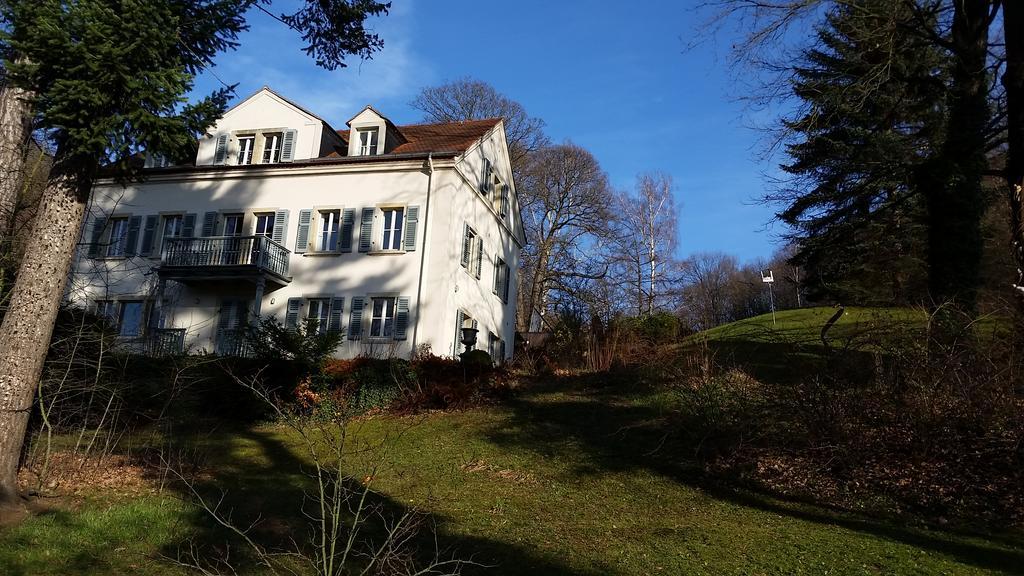 Villa Im Park Wachwitzgrund Dresden Ngoại thất bức ảnh