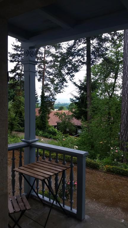 Villa Im Park Wachwitzgrund Dresden Ngoại thất bức ảnh